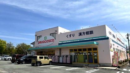 ドラッグ コスコ マーシィー稲田店の外観